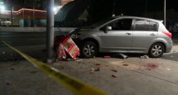 Driver faces 37 felony charges in LA nightclub ramming