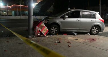Driver faces 37 felony charges in LA nightclub ramming