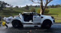 A﻿ man is in serious condition after he and his dog became trapped when a gum tree crushed his ute north-east of South Australia.
