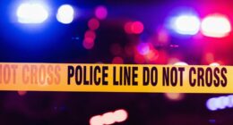 Driver of car that injured dozens at LA club was shot, attacked by crowd