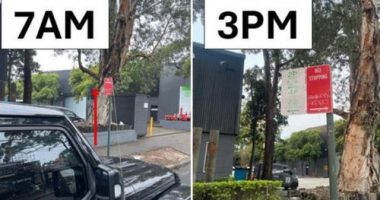 A﻿ Sydney driver who parked his car was shocked when he returned after work to find he had been given a ticket.That's because while he was away, workers had installed new signs ﻿banning all day parking.
