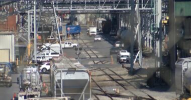 Eastman contractor's WARN notice says its employees will transfer to another contractor