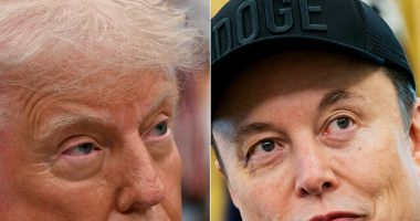 Elon 'Completely Off the Rails' as He Launches Political Party
