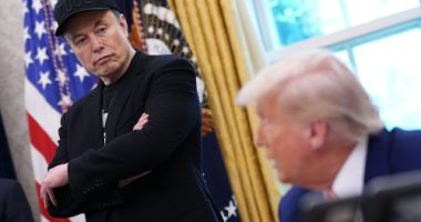 Elon Musk and Donald Trump are fighting again