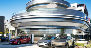 Elon Musk devotees camp out for hours to get a glimpse of new Tesla diner