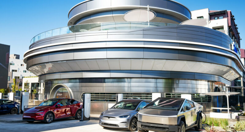 Elon Musk devotees camp out for hours to get a glimpse of new Tesla diner