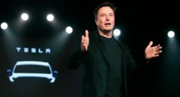 Elon Musk looms over jury selection in Tesla Autopilot fatality trial