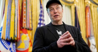 Elon Musk names top Trump ally in the Epstein files as MAGA civil war spirals