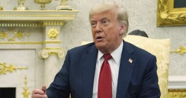 Epstein fallout poses a loyalty test: Trump — or MAGA?