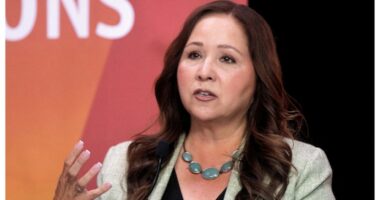 Establishment Dem wins Arizona special primary in bid to succeed late father