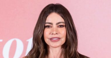 Everything Sofia Vergara Has Said About Dating After Joe Manganiello Divorce