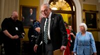 FBI should conduct threat assessment of Epstein files: Schumer