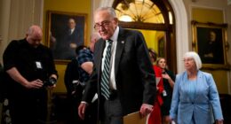 FBI should conduct threat assessment of Epstein files: Schumer