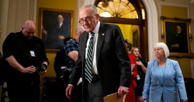 FBI should conduct threat assessment of Epstein files: Schumer