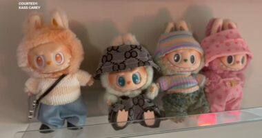 Fake Labubu | Plush toy doll craze leads to Better Business Bureau warning about counterfeits known as Lafufu