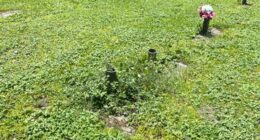 Families concerned about cemetery maintenance