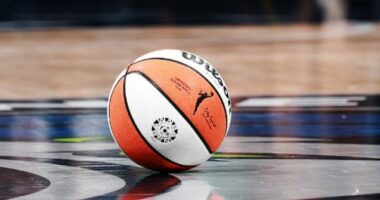 Fan Throws Green Dildo onto Court at WNBA Game