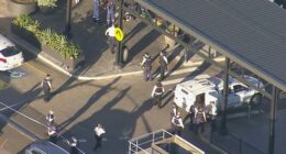 Two groups were fighting with knives and machetes on the rooftop car park outside the Hoyts cinema.