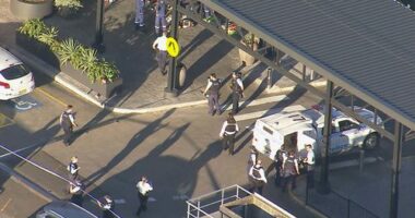 Two groups were fighting with knives and machetes on the rooftop car park outside the Hoyts cinema.