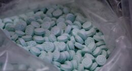 Feds interrupt drug deal, seize 40,000 fentanyl pills