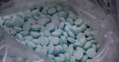Feds interrupt drug deal, seize 40,000 fentanyl pills