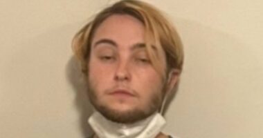 Feds release photo of bearded woman suspected of attacking ICE agents