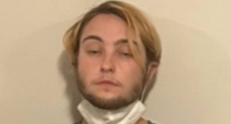 Feds release photo of bearded woman suspected of attacking ICE agents
