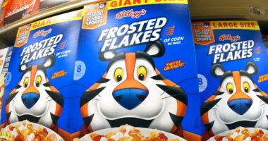 Ferrero to buy WK Kellogg, maker of Froot Loops cereal, for $3 billion