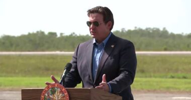 Florida Gov. DeSantis defends conditions at Alligator Alcatraz