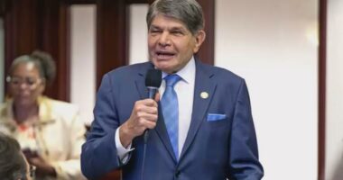 Florida Representative Joe Casello dies while in office