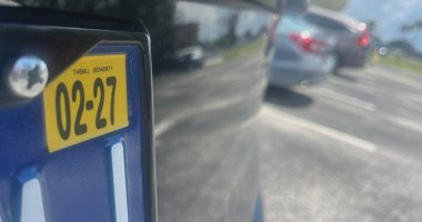 Florida expired tags: Potential consequences and tips to avoid registration spam