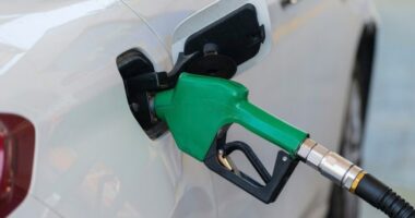 Florida gas prices drop to 2-month low, survey says