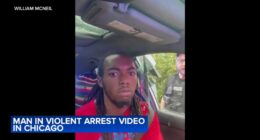 Florida man William McNeil Jr., seen in violent arrest video, speaks with attorneys on new angle at Chicago conference