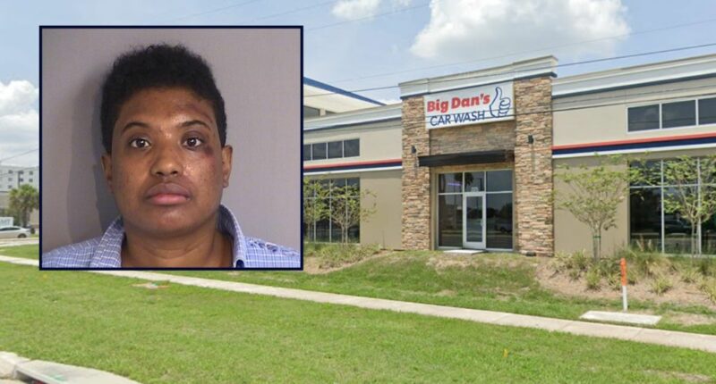 Florida woman allegedly steals pregnant mother's vehicle
