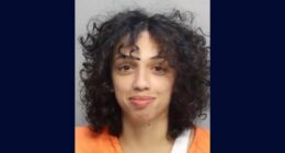 Florida woman allegedly stole tourists' luxury watches