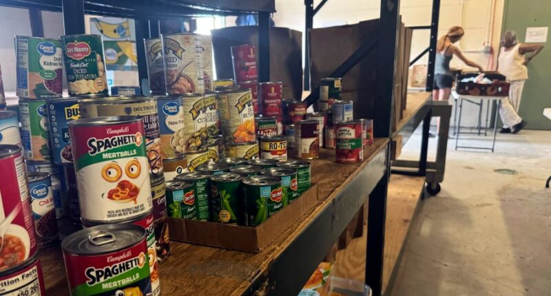 Food banks say SNAP cuts will harm Illinois families, economy