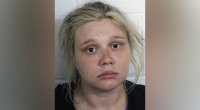 Former '16 and Pregnant' star Whitney Purvis charged in man's death
