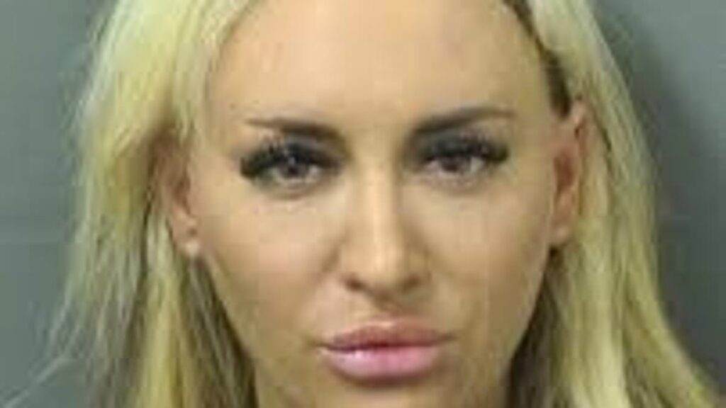 Former Fox News host's accuser Jennifer Eckhart pouts in mugshot after being arrested for battery