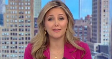 Fox Business star Taylor Riggs gives BIRTH in the back of a Lyft after getting stuck in traffic