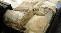 A seizure of methamphetamine after the arrest of a French national for the alleged importation of 22kg of methamphetamine at Sydney Airport.