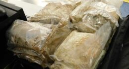 A seizure of methamphetamine after the arrest of a French national for the alleged importation of 22kg of methamphetamine at Sydney Airport.