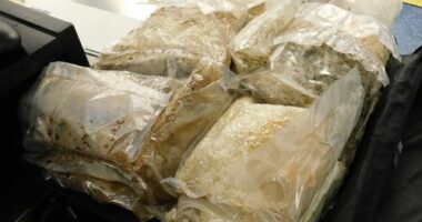 A seizure of methamphetamine after the arrest of a French national for the alleged importation of 22kg of methamphetamine at Sydney Airport.