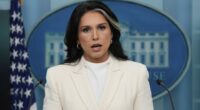 Gabbard Hits Back at Critics Attempting to Claim 'Nothing to See Here' With Russia Collusion Hoax Docs
