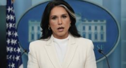 Gabbard Hits Back at Critics Attempting to Claim 'Nothing to See Here' With Russia Collusion Hoax Docs