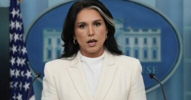 Gabbard Hits Back at Critics Attempting to Claim 'Nothing to See Here' With Russia Collusion Hoax Docs
