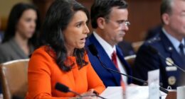 Gabbard alleges Obama manufactured intel on Russian interference