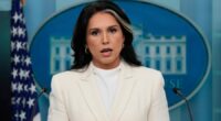 Gabbard releases new documents on 2016 election