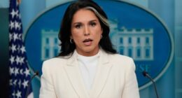 Gabbard releases new documents on 2016 election
