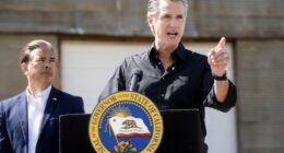 Gavin Newsom All but Says He's Running for President, Breaks Out the Violent 'Fire With Fire' Rhetoric