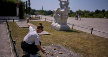 Generations of Germans believe Frederick the Great brought potatoes to Germany. It's a myth